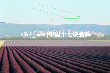 佛山中国十七块金牌