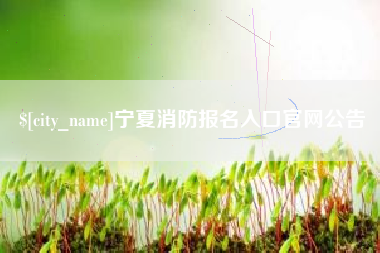 佛山宁夏消防报名入口官网公告