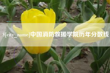 佛山中国消防救援学院历年分数线