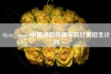佛山中国消防救援学院甘肃招生计划