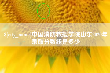 佛山中国消防救援学院山东2020年录取分数线是多少