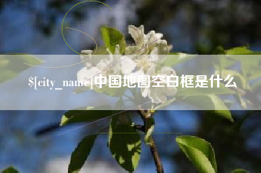 佛山中国地图空白框是什么