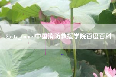 佛山中国消防救援学院百度百科