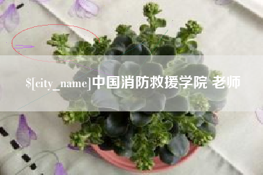 佛山中国消防救援学院 老师