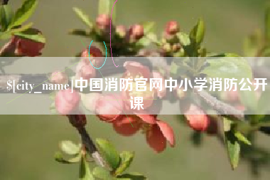 佛山中国消防官网中小学消防公开课