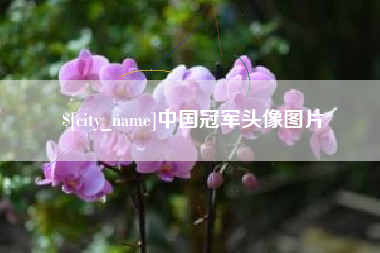 佛山中国冠军头像图片