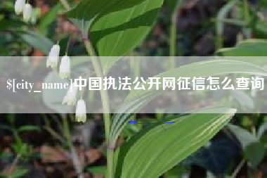 佛山中国执法公开网征信怎么查询