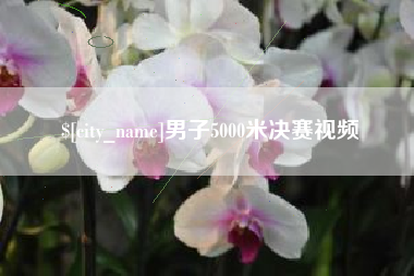 佛山男子5000米决赛视频