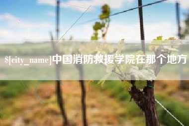 佛山中国消防救援学院在那个地方