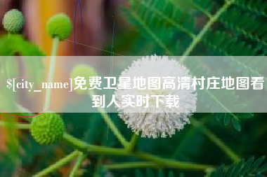 佛山免费卫星地图高清村庄地图看到人实时下载