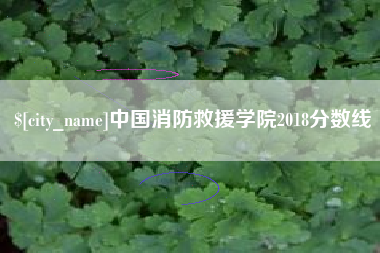 佛山中国消防救援学院2018分数线