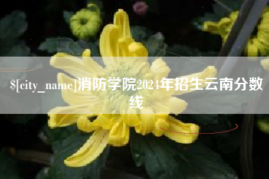 佛山消防学院2024年招生云南分数线