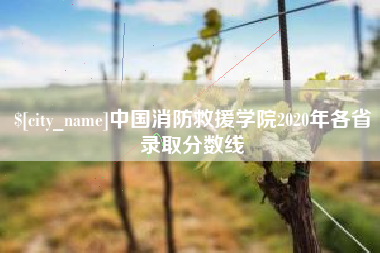 佛山中国消防救援学院2020年各省录取分数线