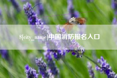 佛山中国消防报名入口