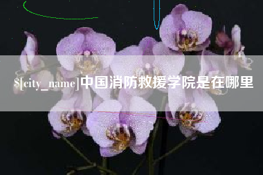 佛山中国消防救援学院是在哪里