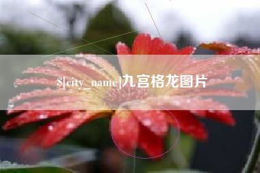 佛山九宫格龙图片