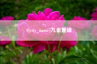 佛山九金是谁