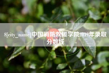 佛山中国消防救援学院2019年录取分数线