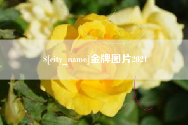 佛山金牌图片2021