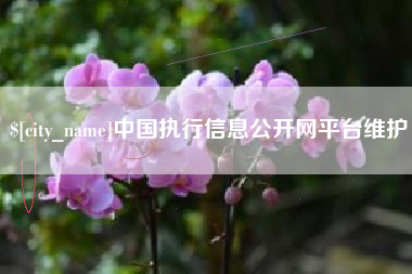 佛山中国执行信息公开网平台维护