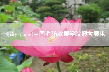 佛山中国消防救援学院报考要求