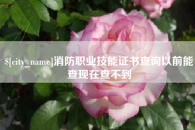 佛山消防职业技能证书查询以前能查现在查不到