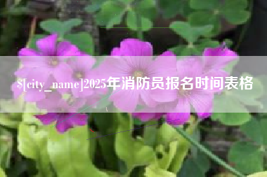 佛山2025年消防员报名时间表格