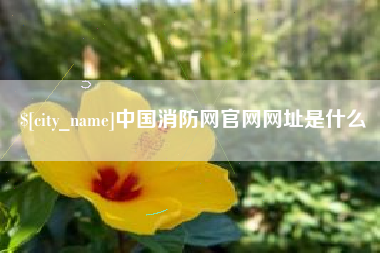 佛山中国消防网官网网址是什么
