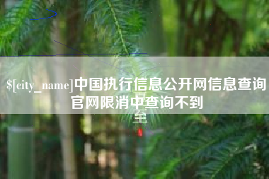 佛山中国执行信息公开网信息查询官网限消中查询不到