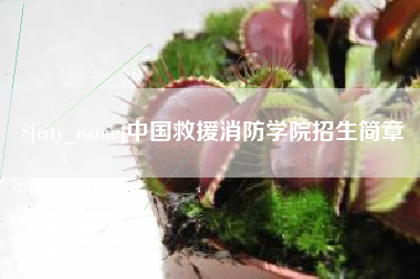 佛山中国救援消防学院招生简章