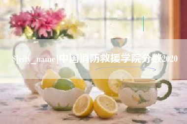 佛山中国消防救援学院分数2020