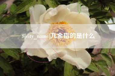 佛山九金指的是什么