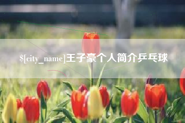 佛山王子豪个人简介乒乓球