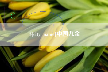 佛山中国九金