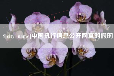 佛山中国执行信息公开网真的假的