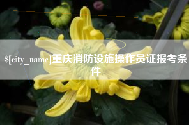 佛山重庆消防设施操作员证报考条件