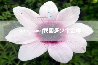 佛山我国多少个金牌