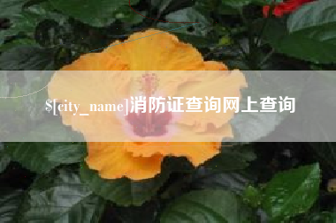 佛山消防证查询网上查询