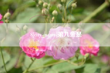 佛山第九金是