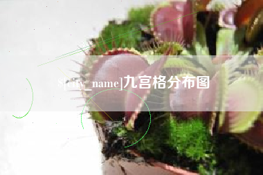 佛山九宫格分布图