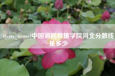佛山中国消防救援学院河北分数线是多少