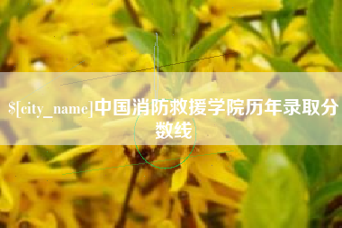 佛山中国消防救援学院历年录取分数线