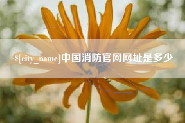 佛山中国消防官网网址是多少
