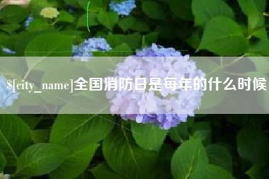 佛山全国消防日是每年的什么时候