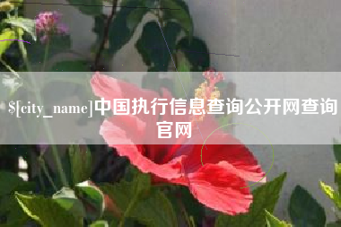 佛山中国执行信息查询公开网查询官网