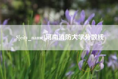 佛山河南消防大学分数线