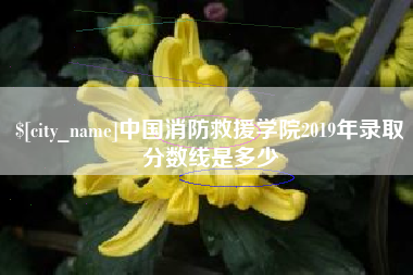 佛山中国消防救援学院2019年录取分数线是多少