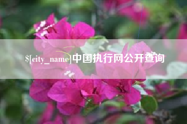 佛山中国执行网公开查询