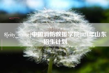 佛山中国消防救援学院2021年山东招生计划