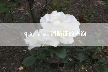 佛山消防证的查询